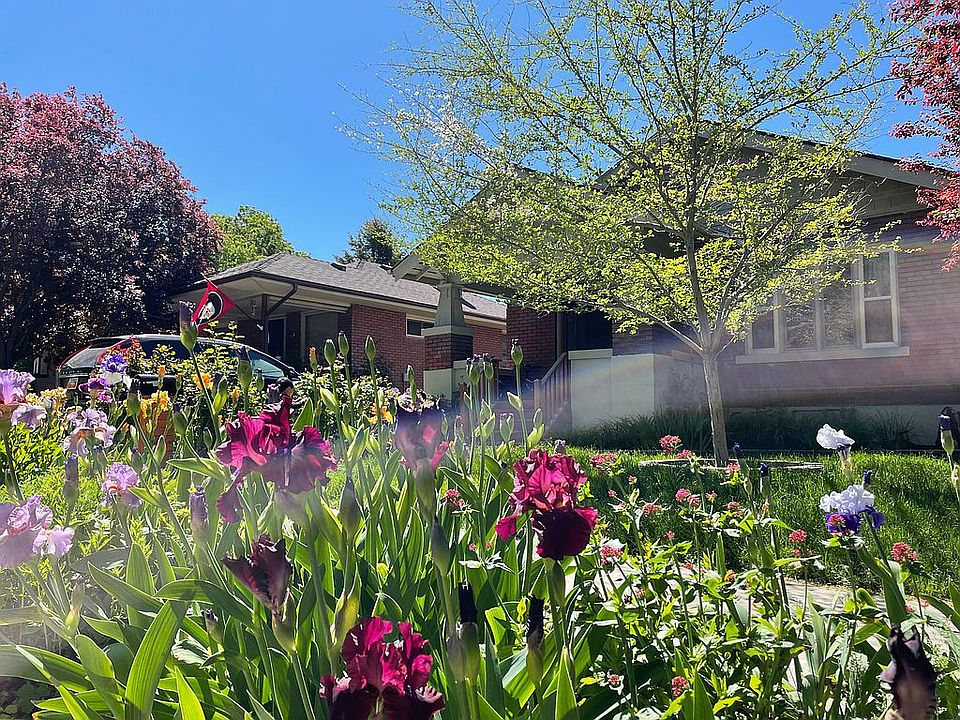 Front-yard