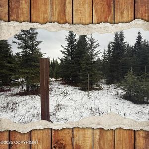 65201 Chamberlain Ave, Ninilchik, AK, 99639