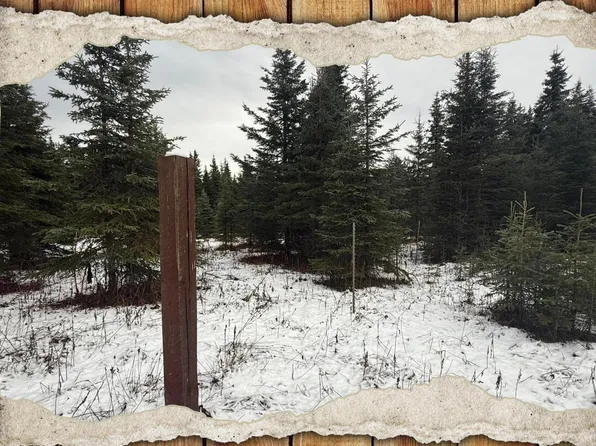 65201 Chamberlain Ave, Ninilchik, AK 99639