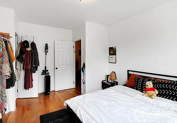 4th image of 162 Halsey St APT 4