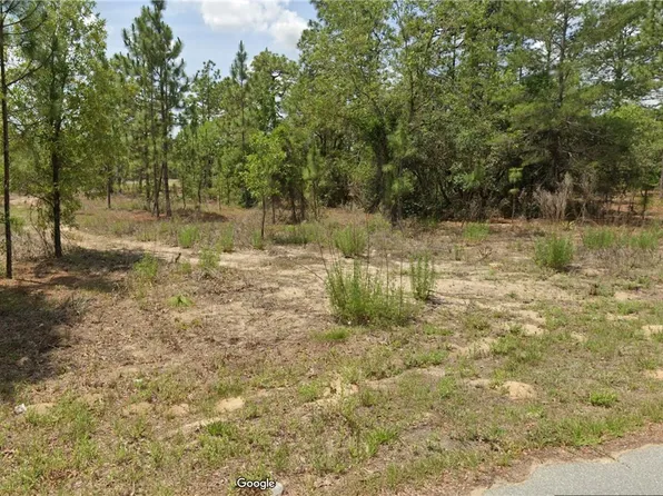 2854 W Xenox Dr, Citrus Springs, FL 34433