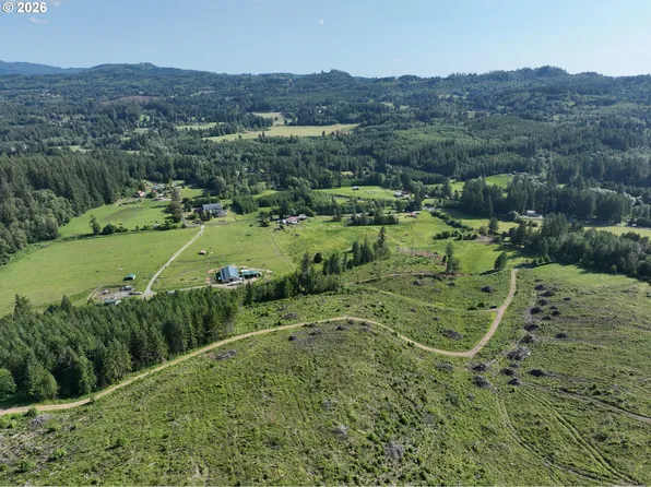 0 NE 206th Ave, Amboy Wa, WA 98601