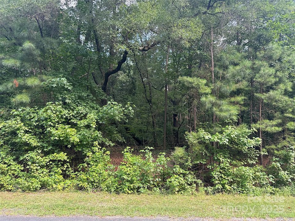 2nd image of 0 Raymond Helms Rd