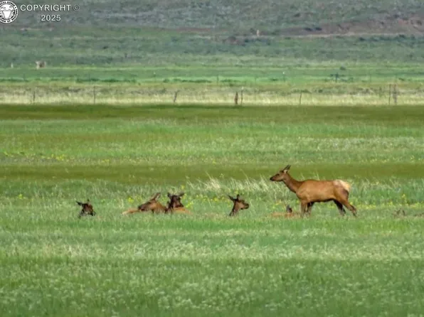 County Road 119, Westcliffe, CO 81252