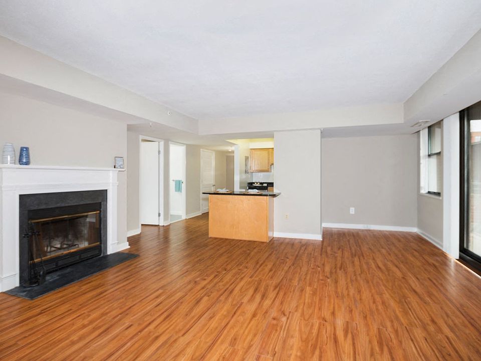 Two-bedroom apartment living area with fireplace