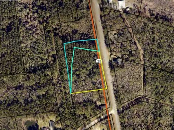 V/l Cornelia Armstrong Tract #1 & 2, Woodbine, GA 31569