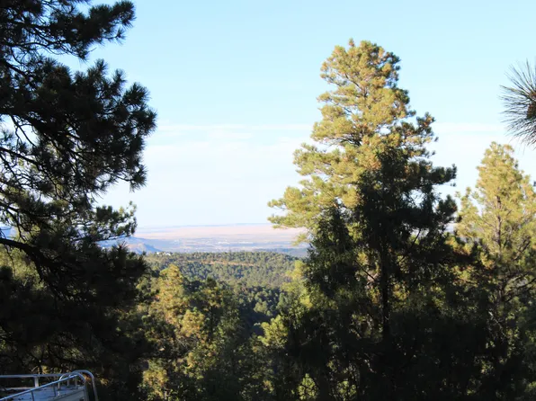 33041 Conifer Dr, Trinidad, CO 81082