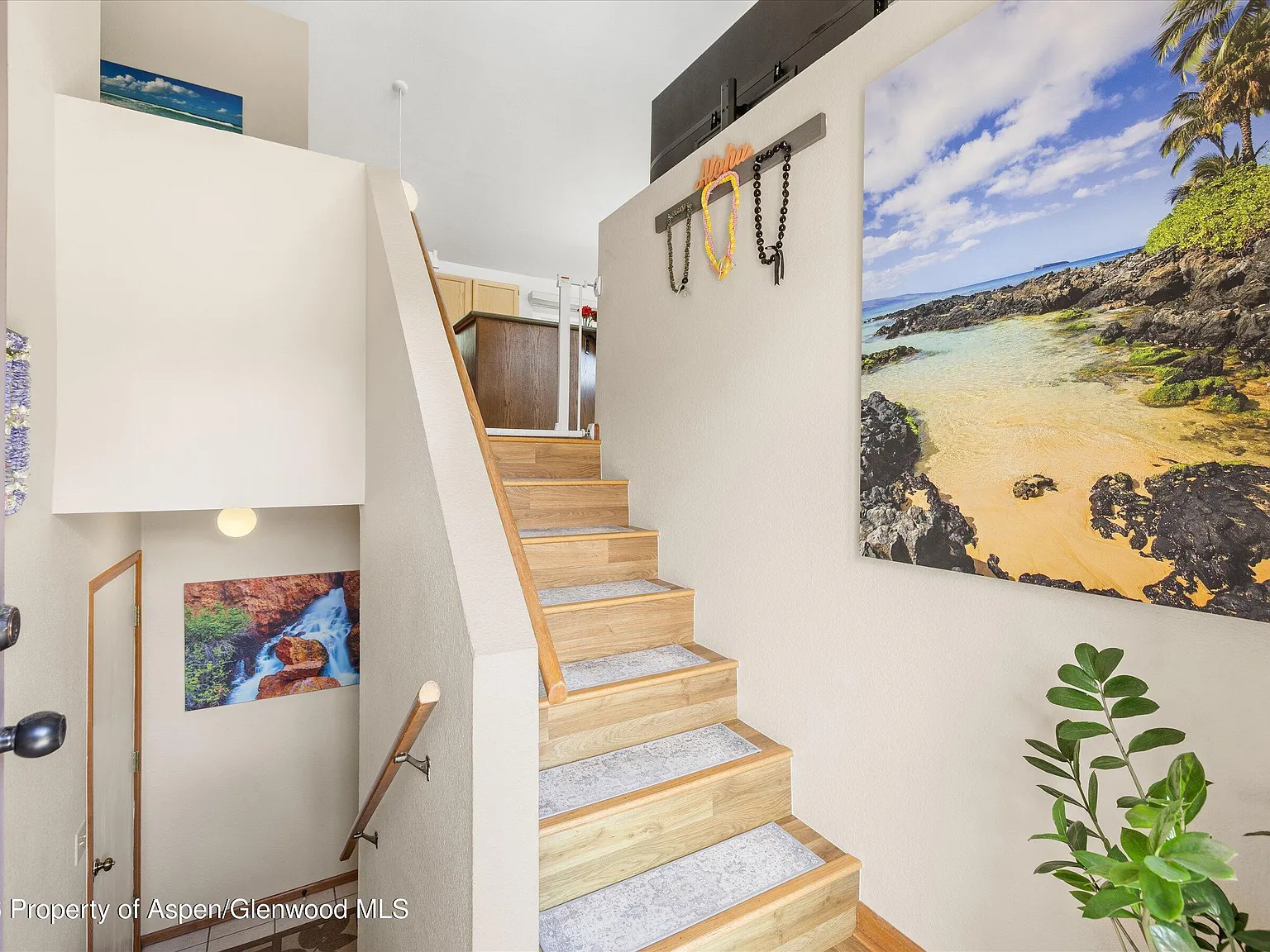3 bed, 2.5 bath, 1656 sqft, $5,000 — Photo 4