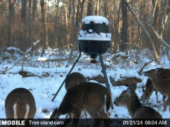 159 3rd Ave, Estell Manor, NJ 08319