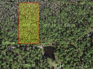 Holopaw Groves Rd, Saint cloud, FL 34771