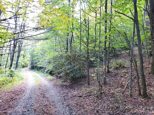 1 Two 3 Rhoneys View Rd, Newland, NC 28657