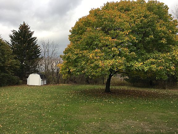 back yard