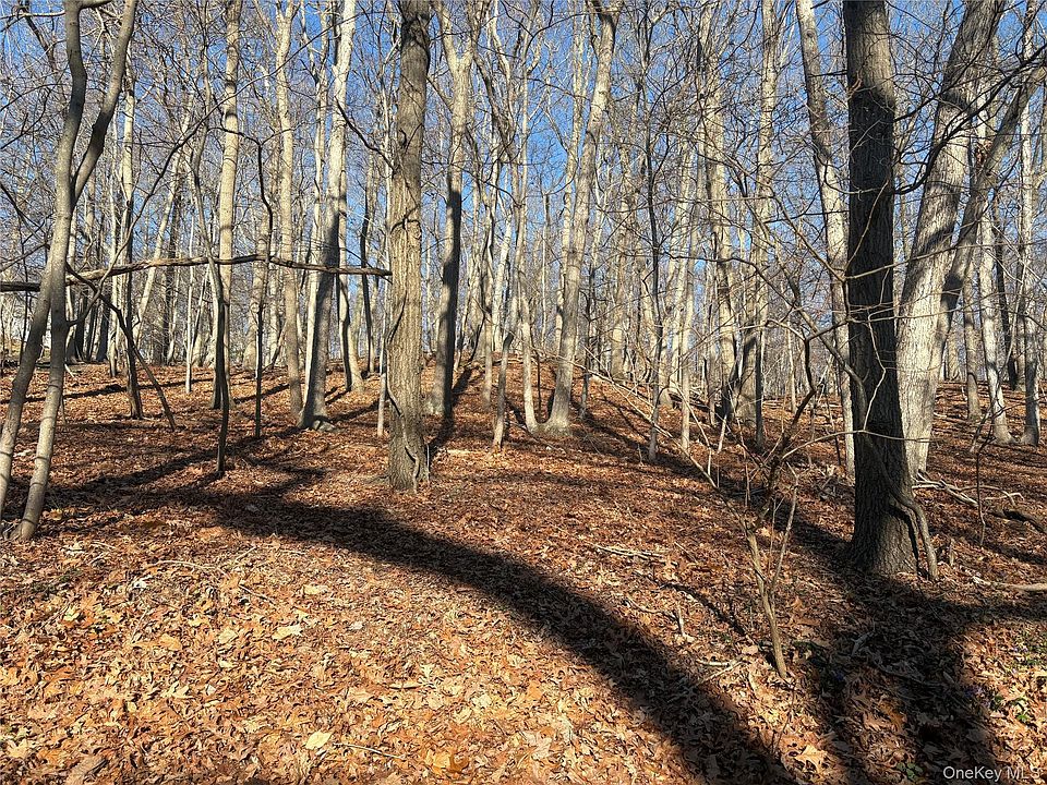 1st image of Woodhull Landing