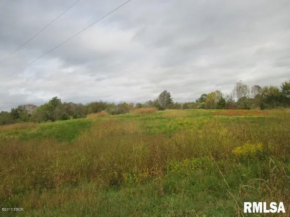 90 Pine Tree Ln, Cobden, IL 62920