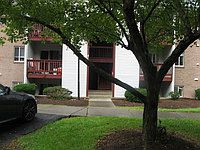 1st image of 402 Berryfield Ln APT B