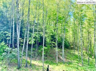 Tbd Parsons Hill Rd, Lansing, NC 28643