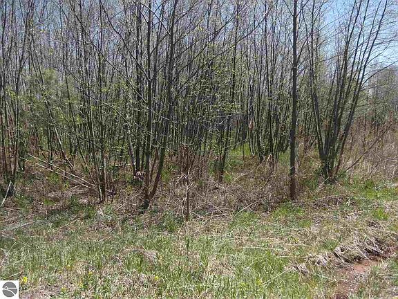 4th image of 0 Putnam Rd