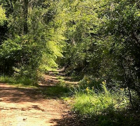 5th image of County Road 435 #D