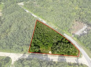 Bigelow Ave #1, Webster, FL 33597