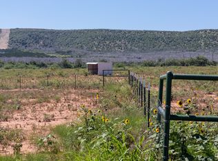 439 County Road 321, Abilene, TX 79606