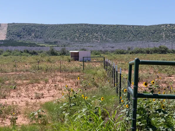 439 County Road 321, Abilene, TX 79606
