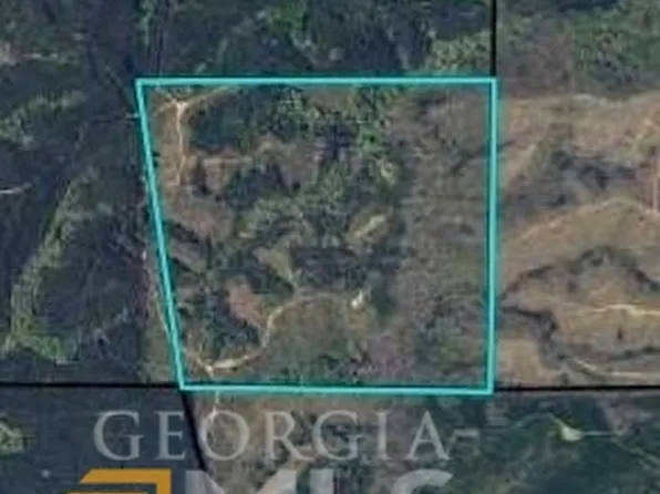 0 Carters Mill Rd, Talbotton, GA 31827