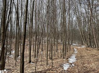 19.5 Cermak Rd #A, Bear Lake, MI 49614