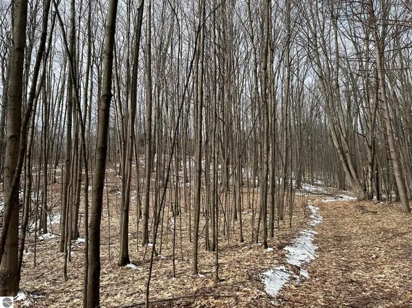19.5 Cermak Rd #A, Bear Lake, MI 49614
