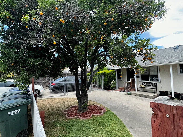 8314 Golden Ave #A — Photo 5
