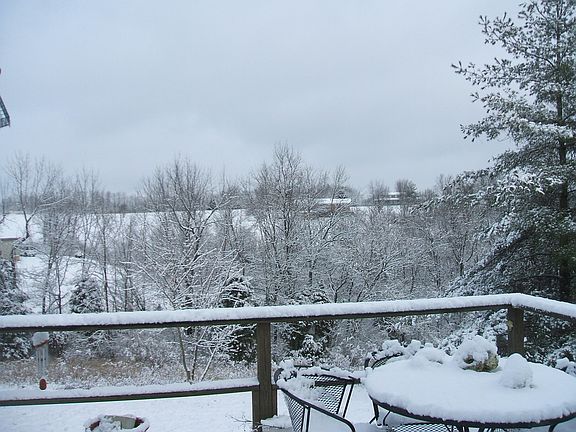 View from Deck