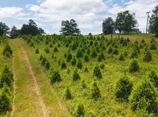 Alum Ridge Rd, Willis, VA 24380