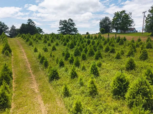 Alum Ridge Rd, Willis, VA 24380