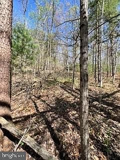 2nd image of 0 Ichabod Ln
