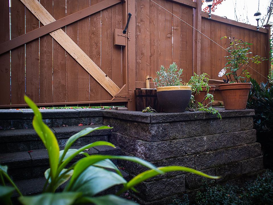Lush green garden