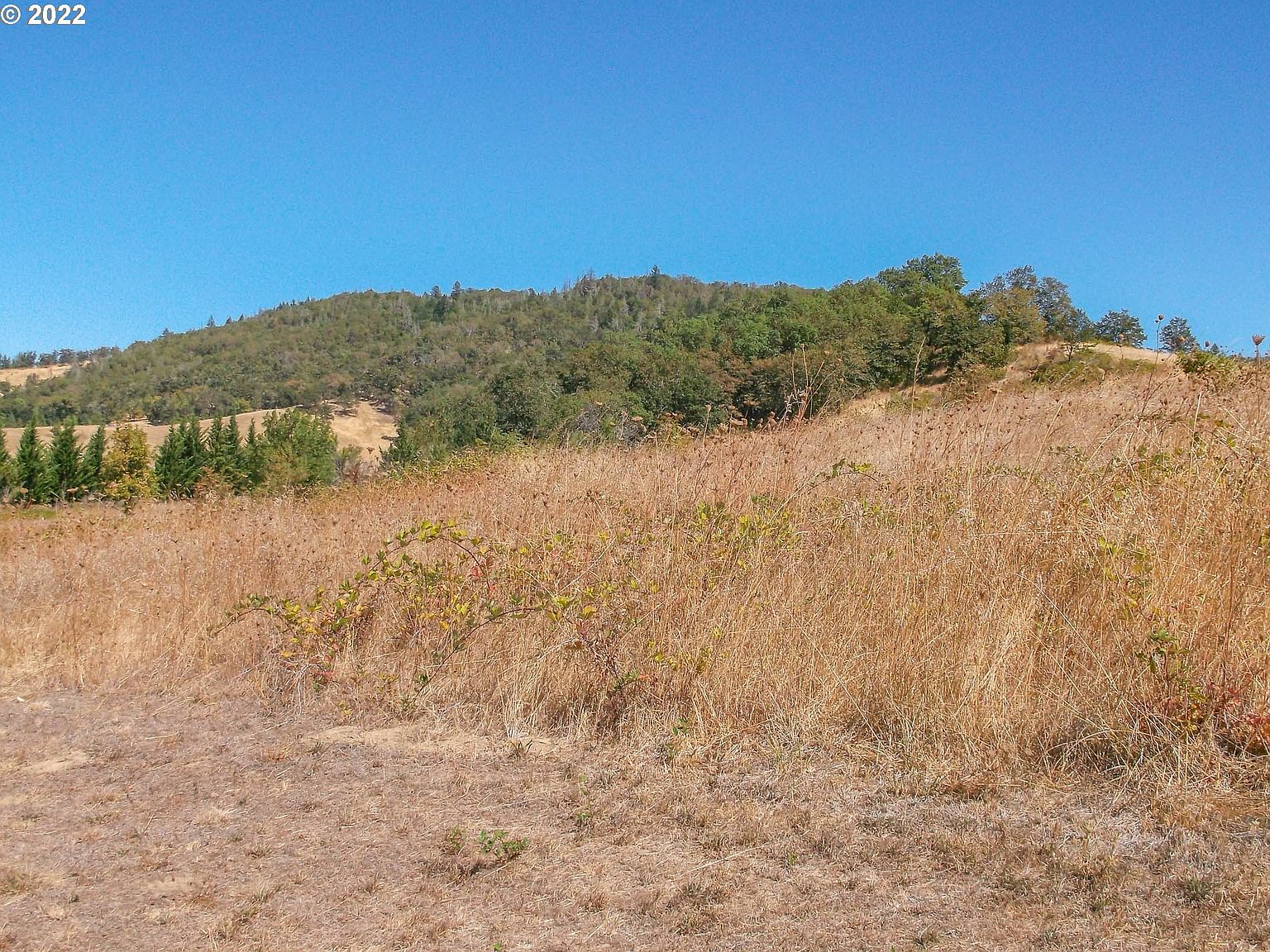 0 Cedar St, Riddle, OR 97469 Zillow