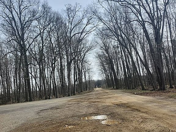 4th image of 7475 Eckert Rd