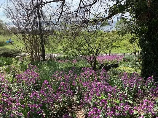 Sold by Remax Edge | media 31