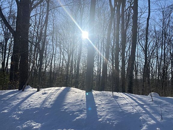 2nd image of 15 Colebrook River Rd