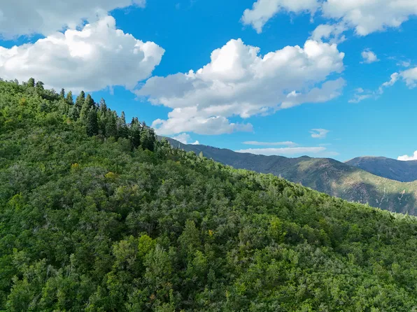 114 N Oakwood Cir, Springville, UT 84663