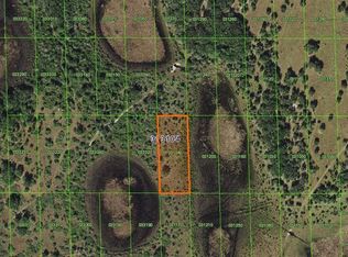 Grape Hammock Rd, Lake Wales, FL 33898