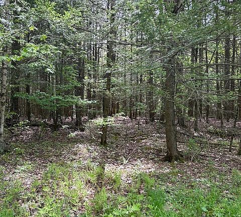 2nd image of 660 Anne Rd