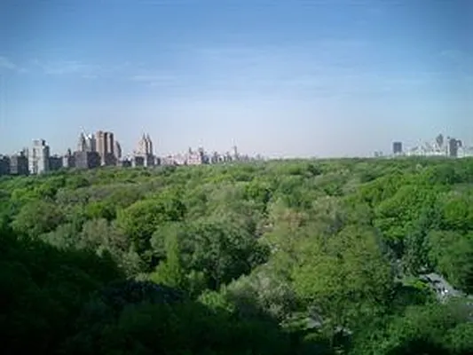 Rented by Douglas Elliman | media 6