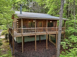 156 Dupont Dr, Blue Ridge, GA 30513