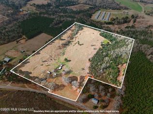 67 Angie Rd, Sandy Hook, MS 39478