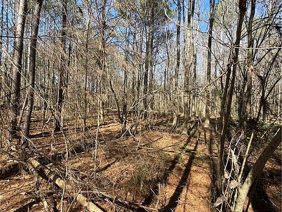 3rd image of 0 Brown Bridge Rd #160