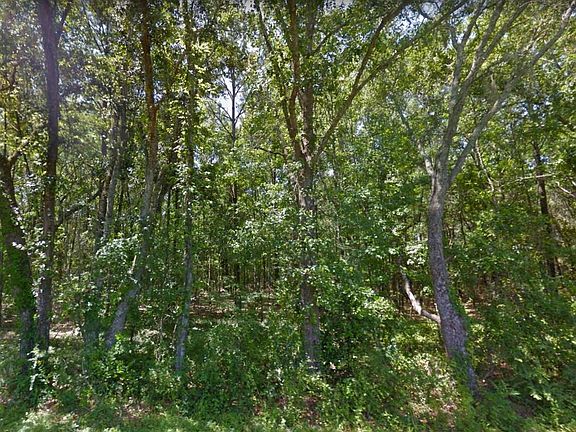 4th image of Fla Ga Hwy