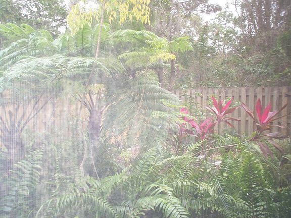 quiet private backyard