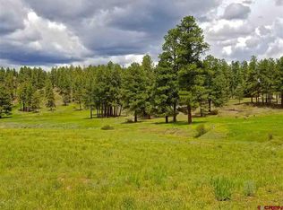 841 Beaver Creek Dr, Bayfield, CO 81122