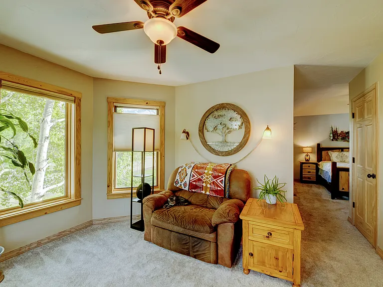 Bonus room off of master. Could be a reading room, office, or zen den.
2nd smaller closet on side wall.