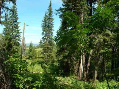 1769 Lark Trl, Cascade, ID, 83611